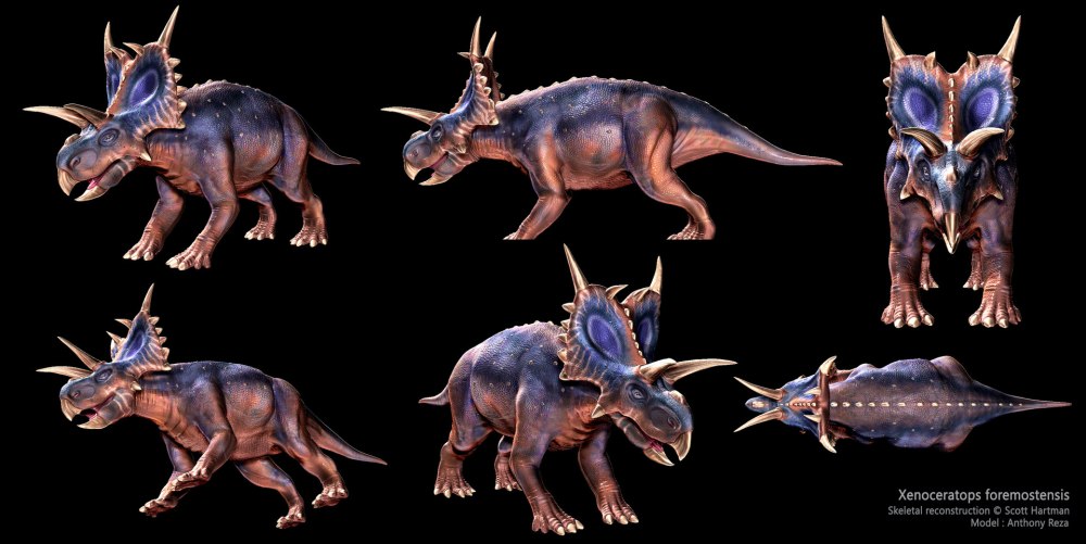 Wendiceratops pinhornensis