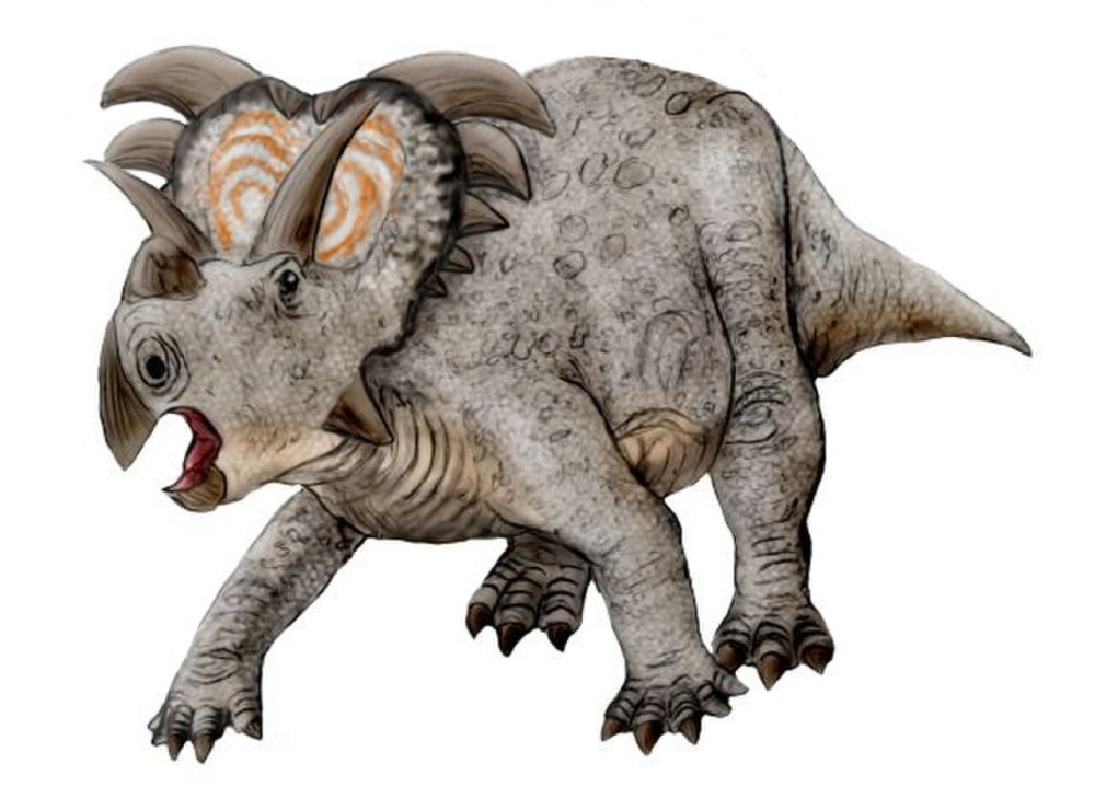 Medusaceratops lokii