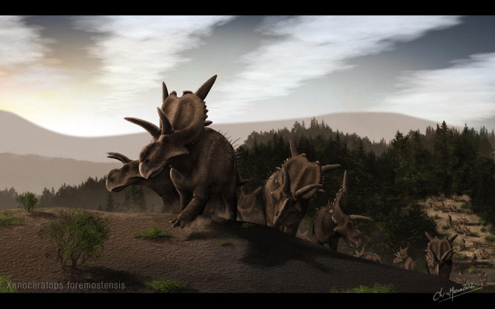 Xenoceratops foremostensis