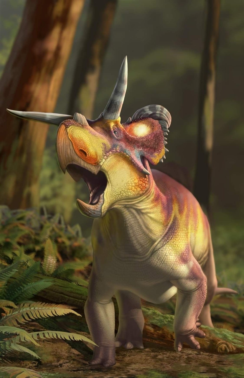 Medusaceratops lokii