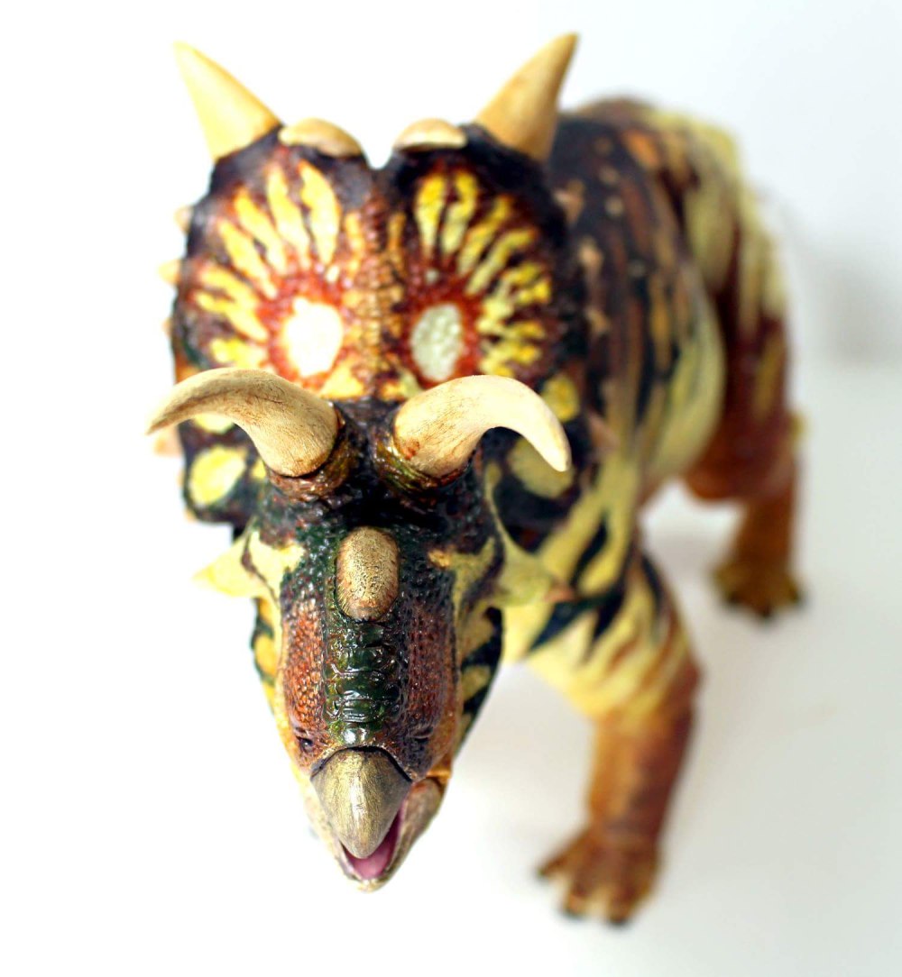 Beasts of the Mesozoic ceratopsian scries