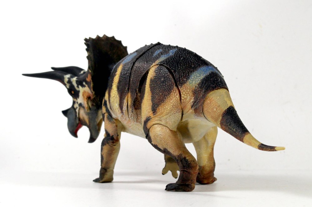 Beasts of the Mesozoic ceratopsian Series Triceratops