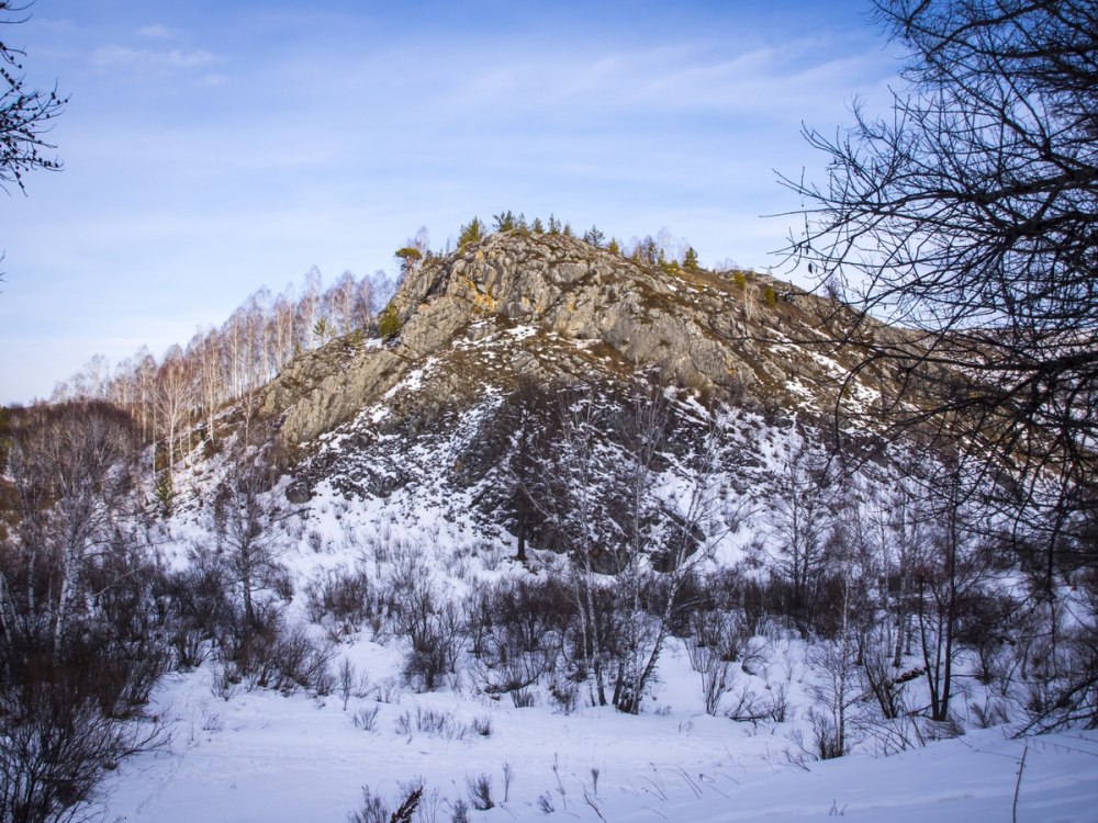 Тигирекский заповедник летучая мышь