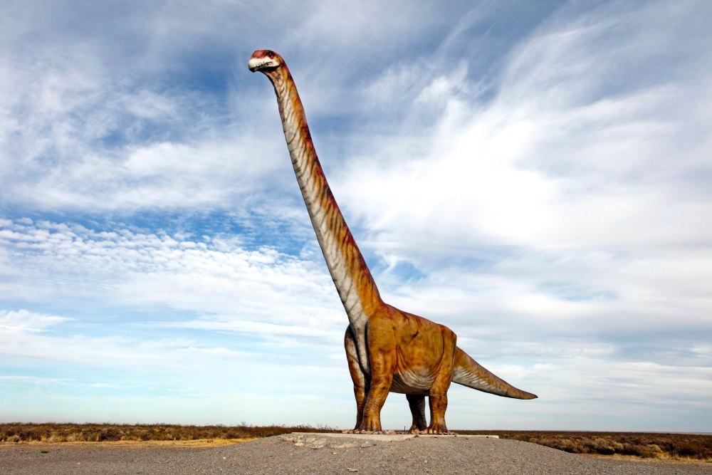 Patagotitan mayorum