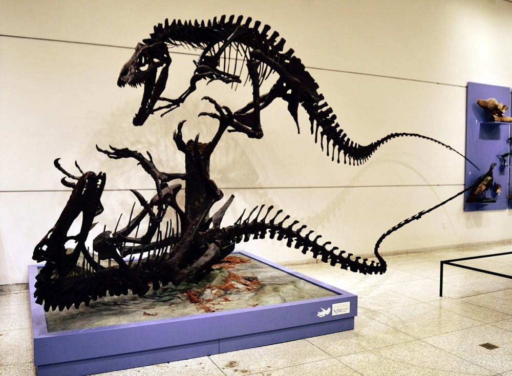 Dryptosaurus скелет