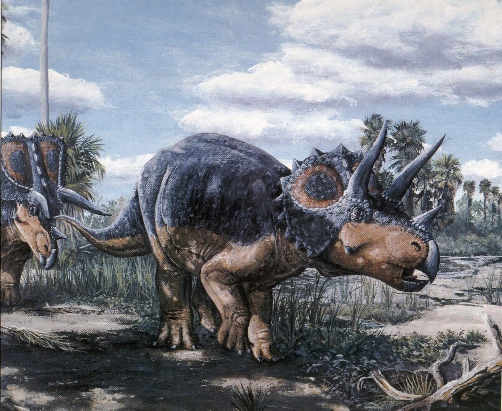 Носорог и Трицератопс
