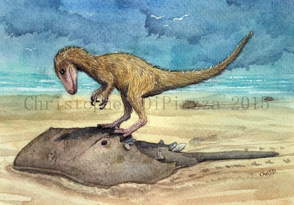 Dryptosaurus aquilunguis
