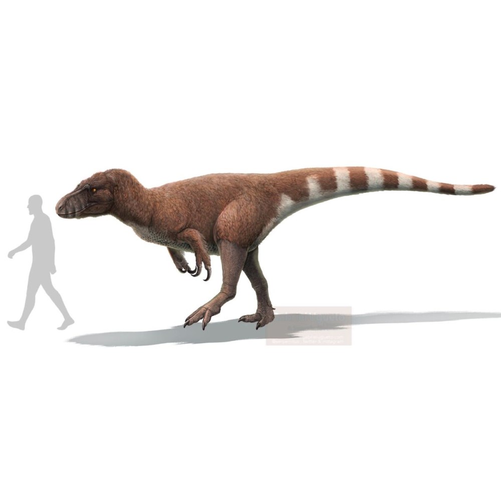 Dryptosaurus aquilunguis