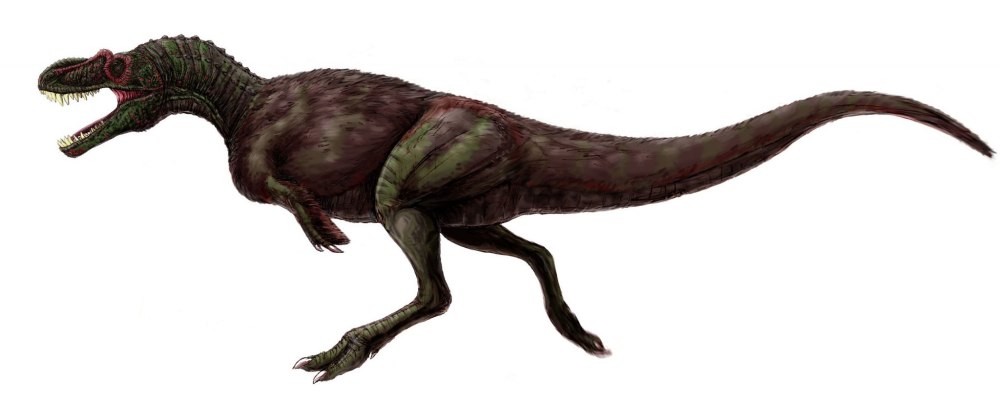 Appalachiosaurus montgomeriensis