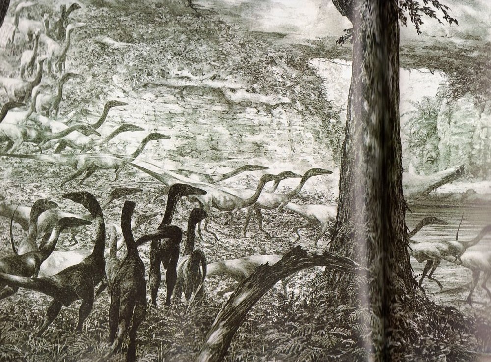 Prehistoric Kingdom Coelophysis