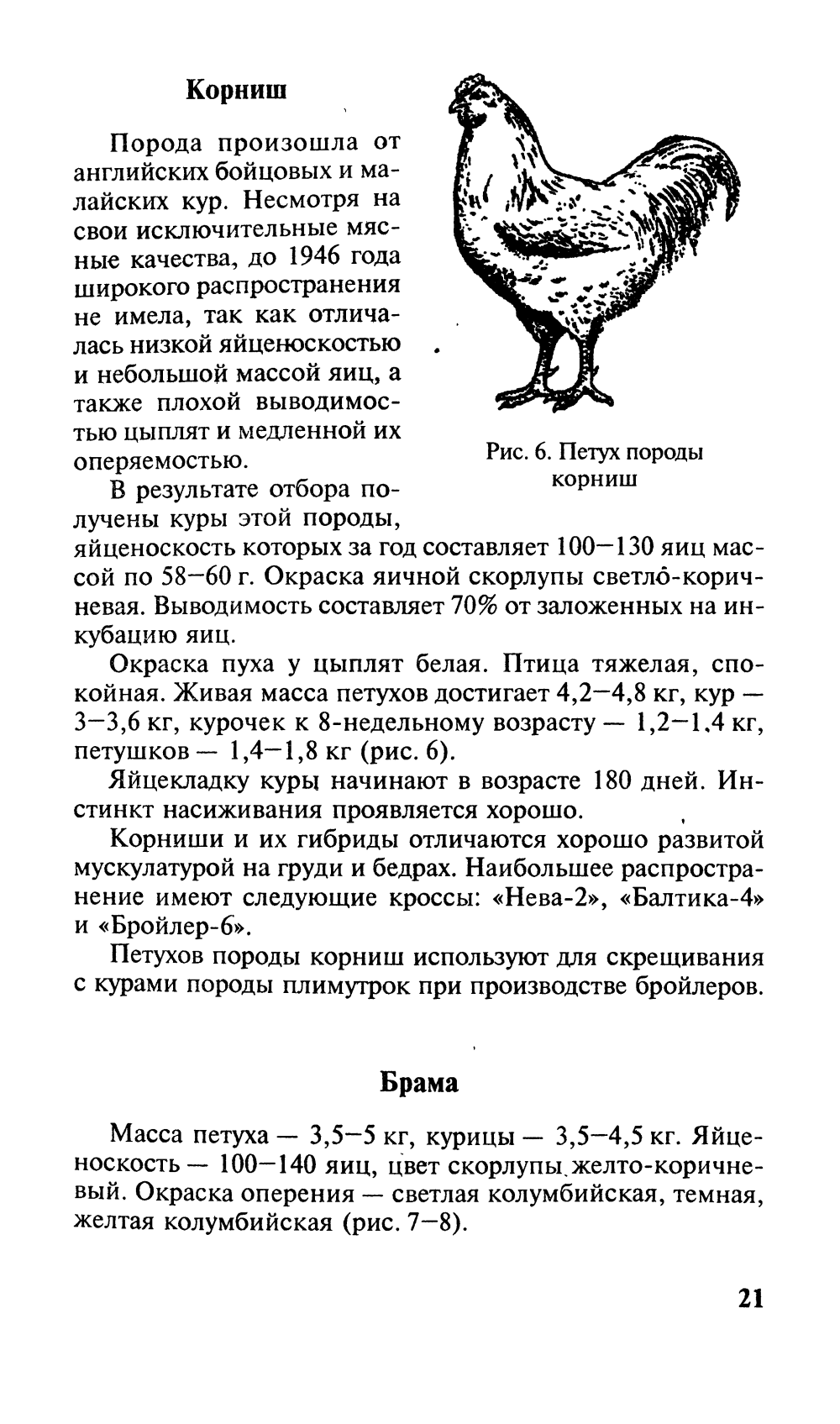 Породы кур разделяют на