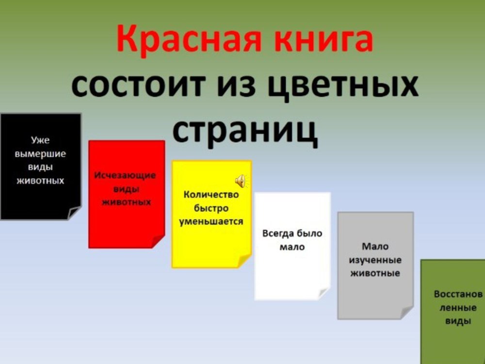 Какого цвета страницы в красной книге