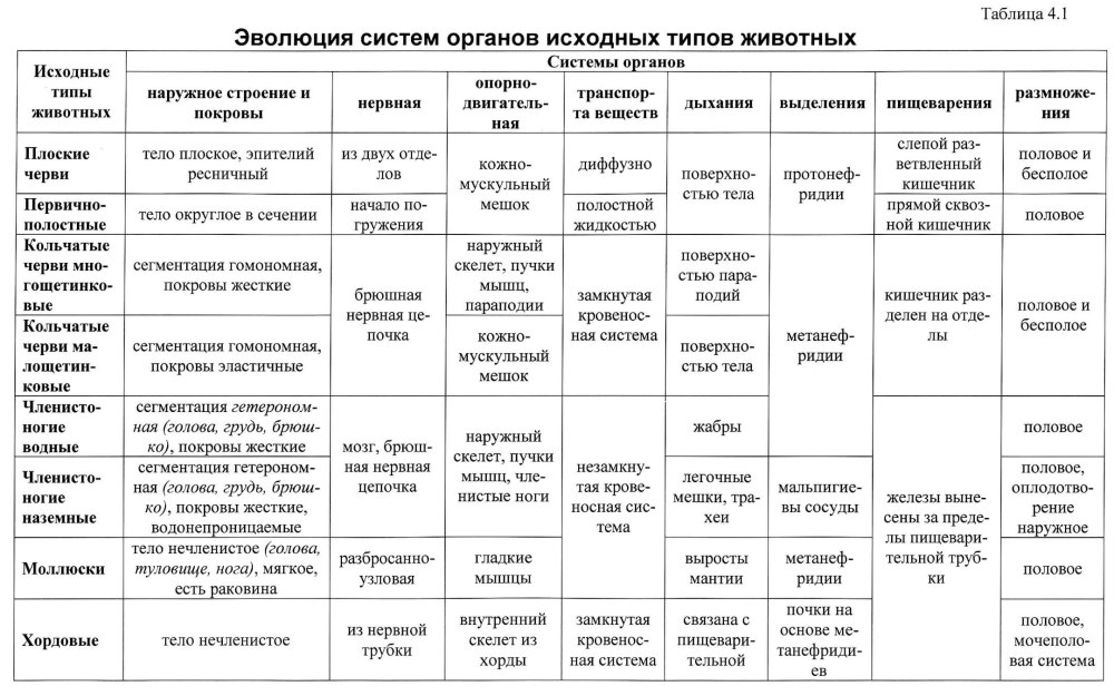 Эволюция нервной системы у животных таблица 7 класс