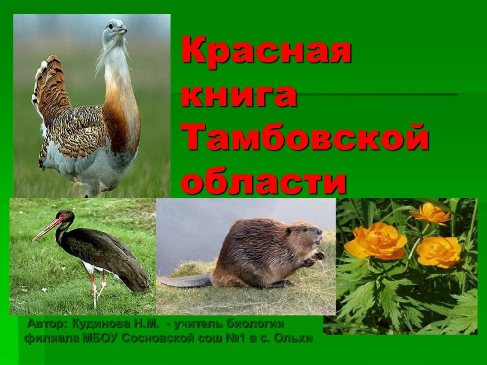 Животные красной книги Тамбовской области