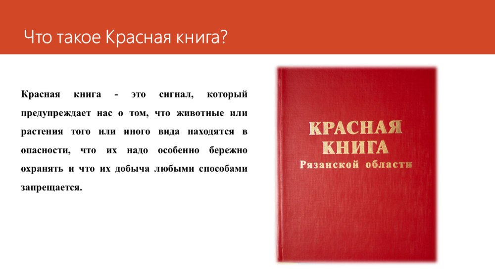 Я И красная книга