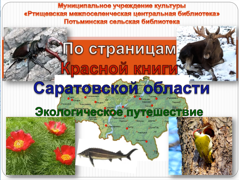 Красные страницы красной книги