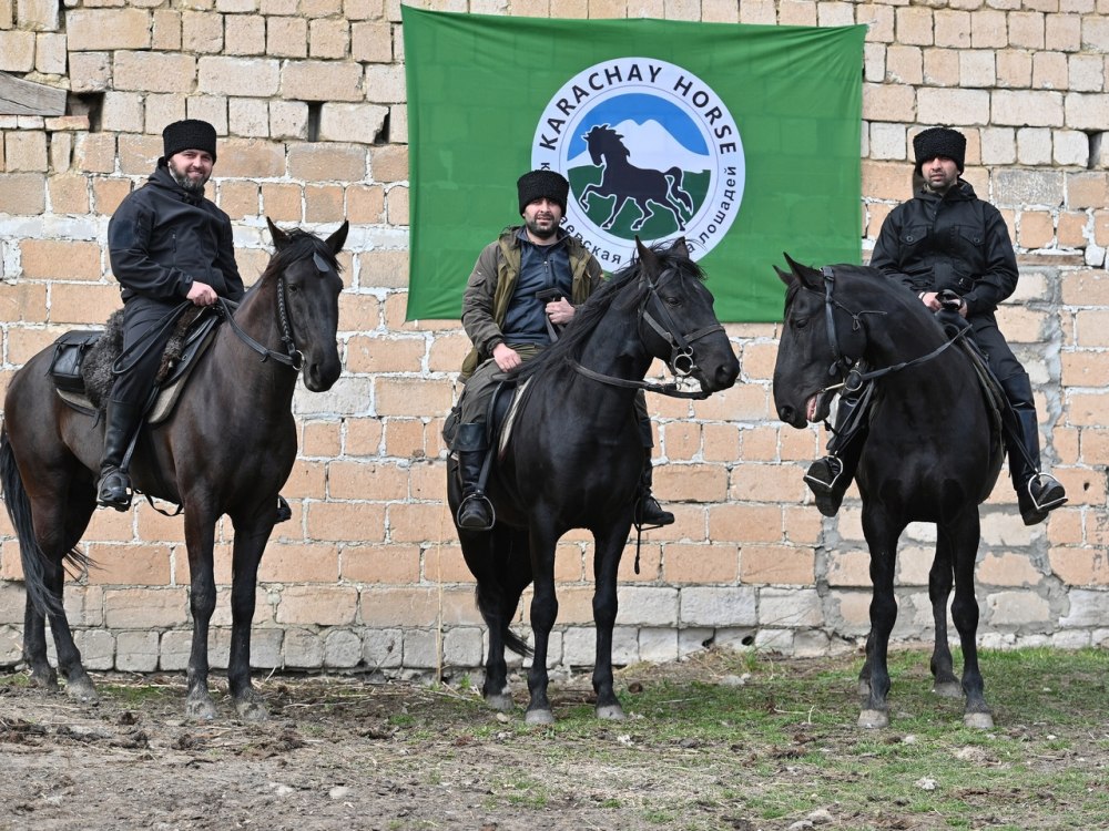 Карачаевская порода лошадей КЧР