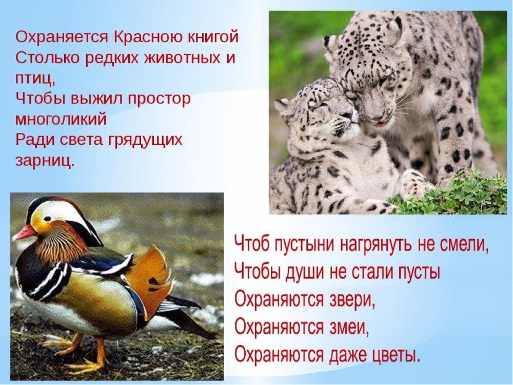 Животные красной книши