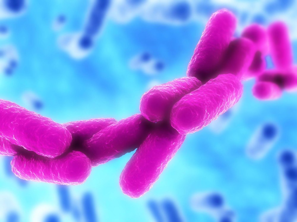 Палочка Фридлендера Klebsiella