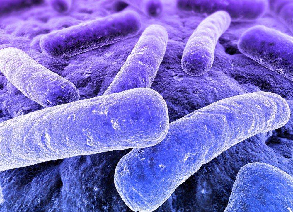 Палочка Коха (Mycobacterium tuberculosis)