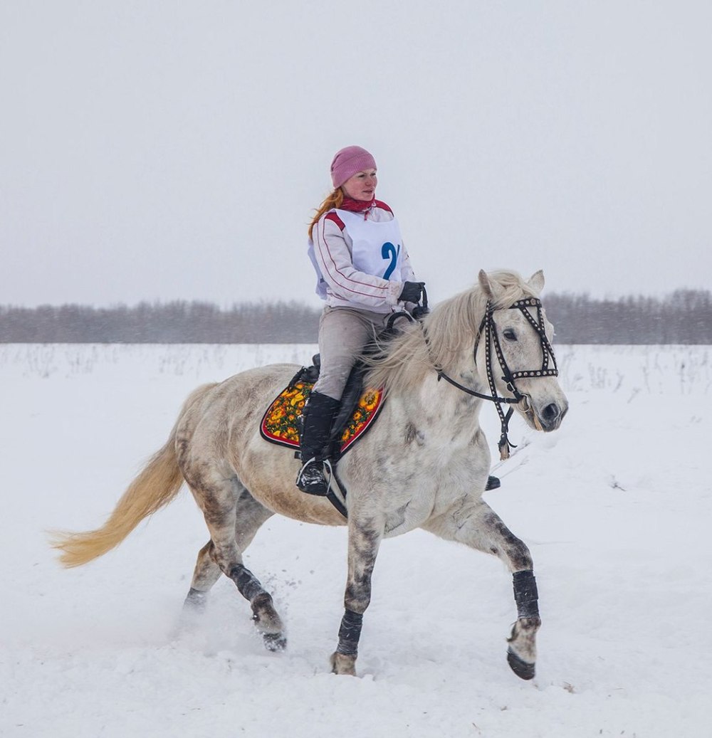 Елена Поршнева Лампожня