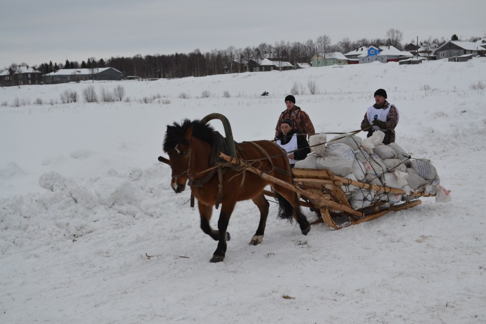 Мезенская лошадка Архангельск