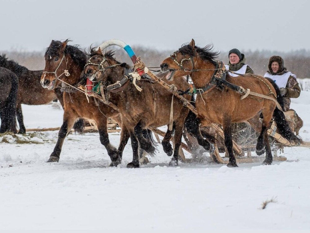 СПК "РК "Север"