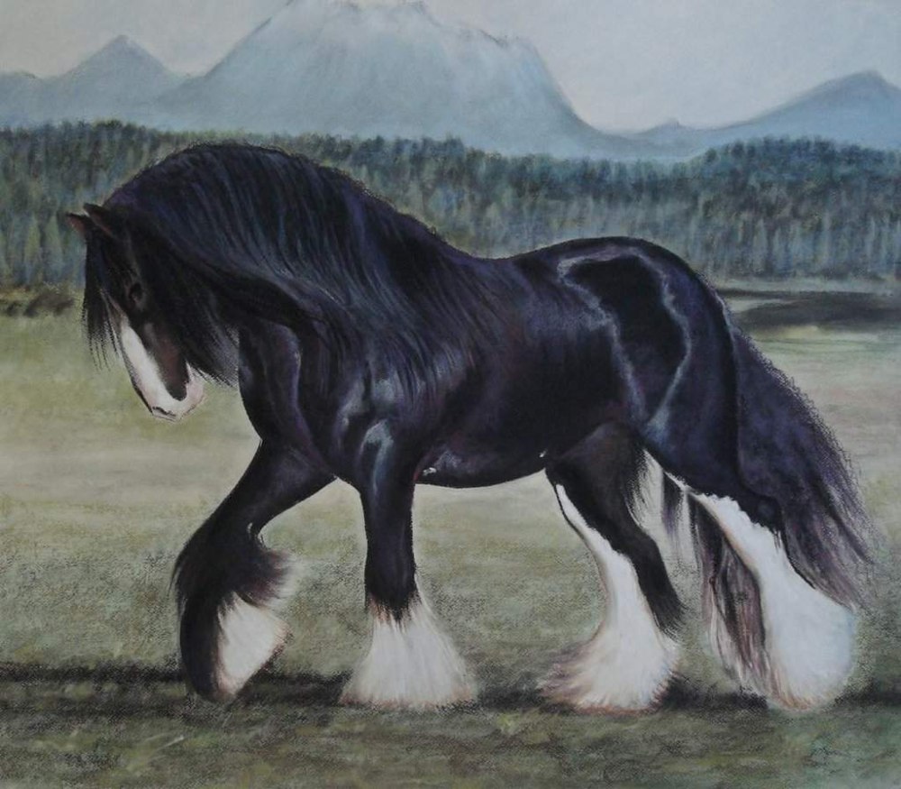 Порода лошадей локайская
