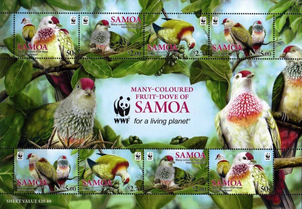 Stamp the many-colored Fruit dove (Ptilinopus perousii)