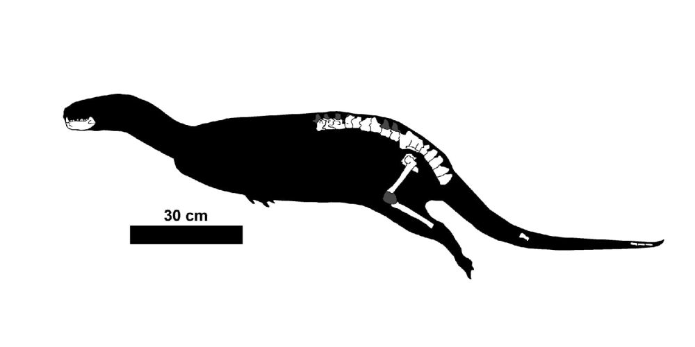 Megalampris