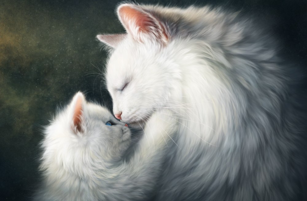 Белая кошка с котятами