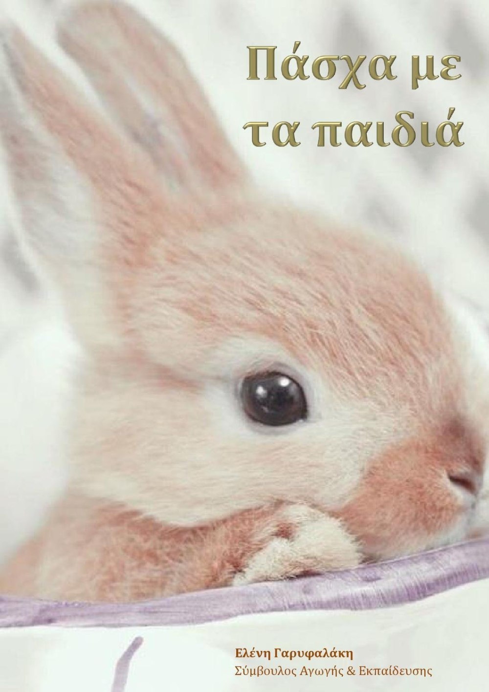 Очень милый кролик