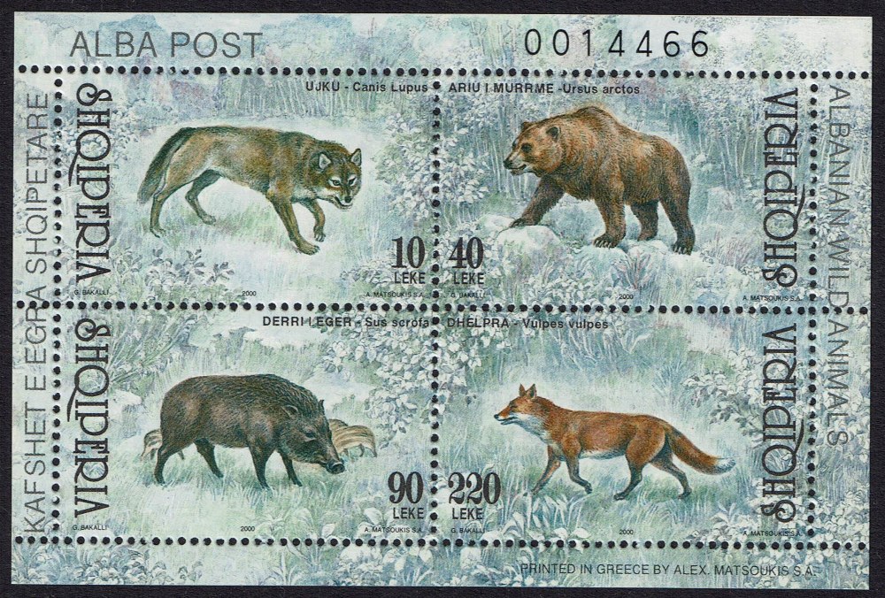 Марка Вульф