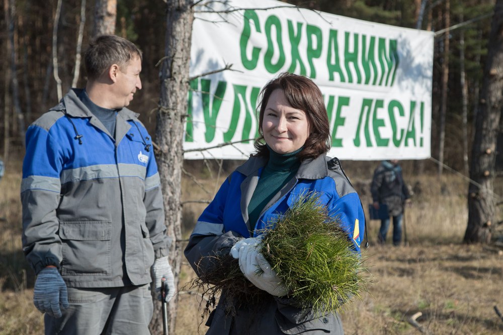 Одоевское лесничество Тульской области