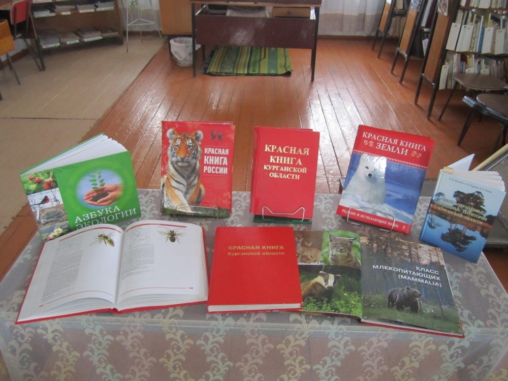 Книги о Курганской области