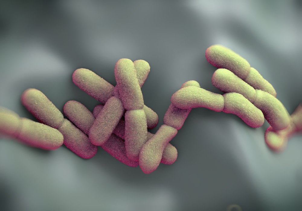 Yersinia pestis чумная палочка