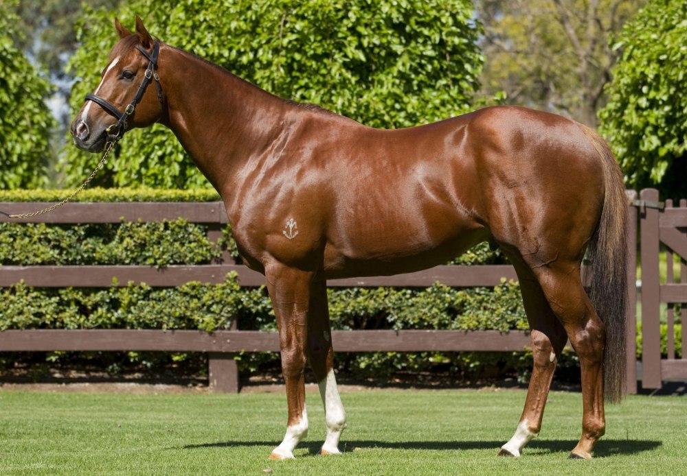 Thoroughbred Breeder