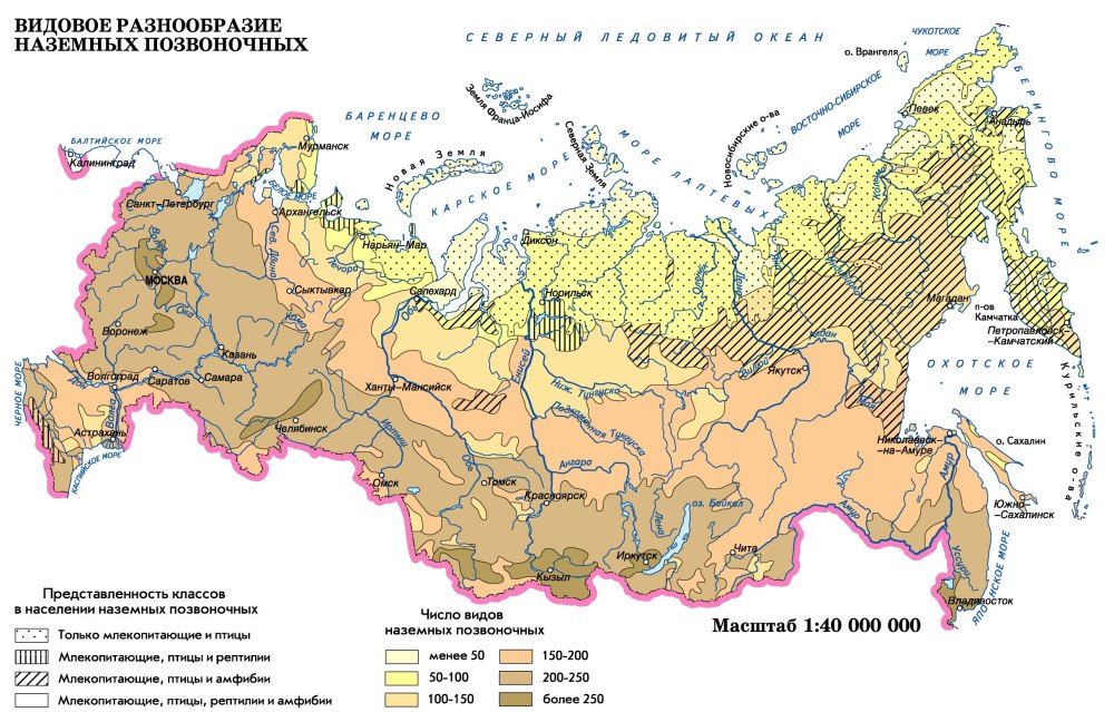 Карта животного населения
