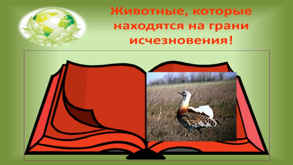 Животное которое находится на грани исчезновения