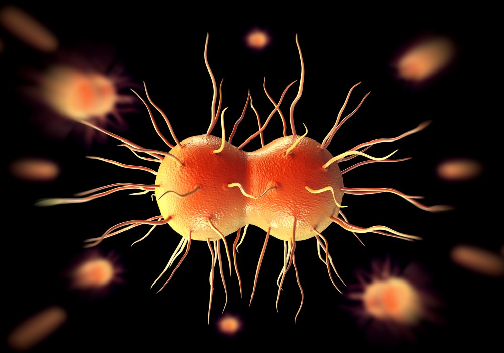 Возбудитель Neisseria gonorrhoeae