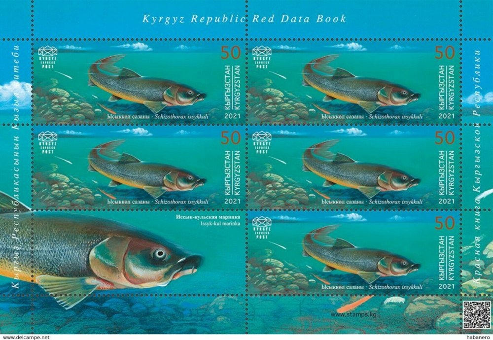Красная книга Кыргызстана