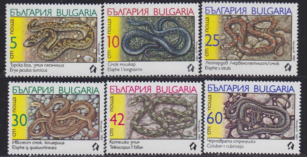 Земляная змея 1989 по месяцам таблица