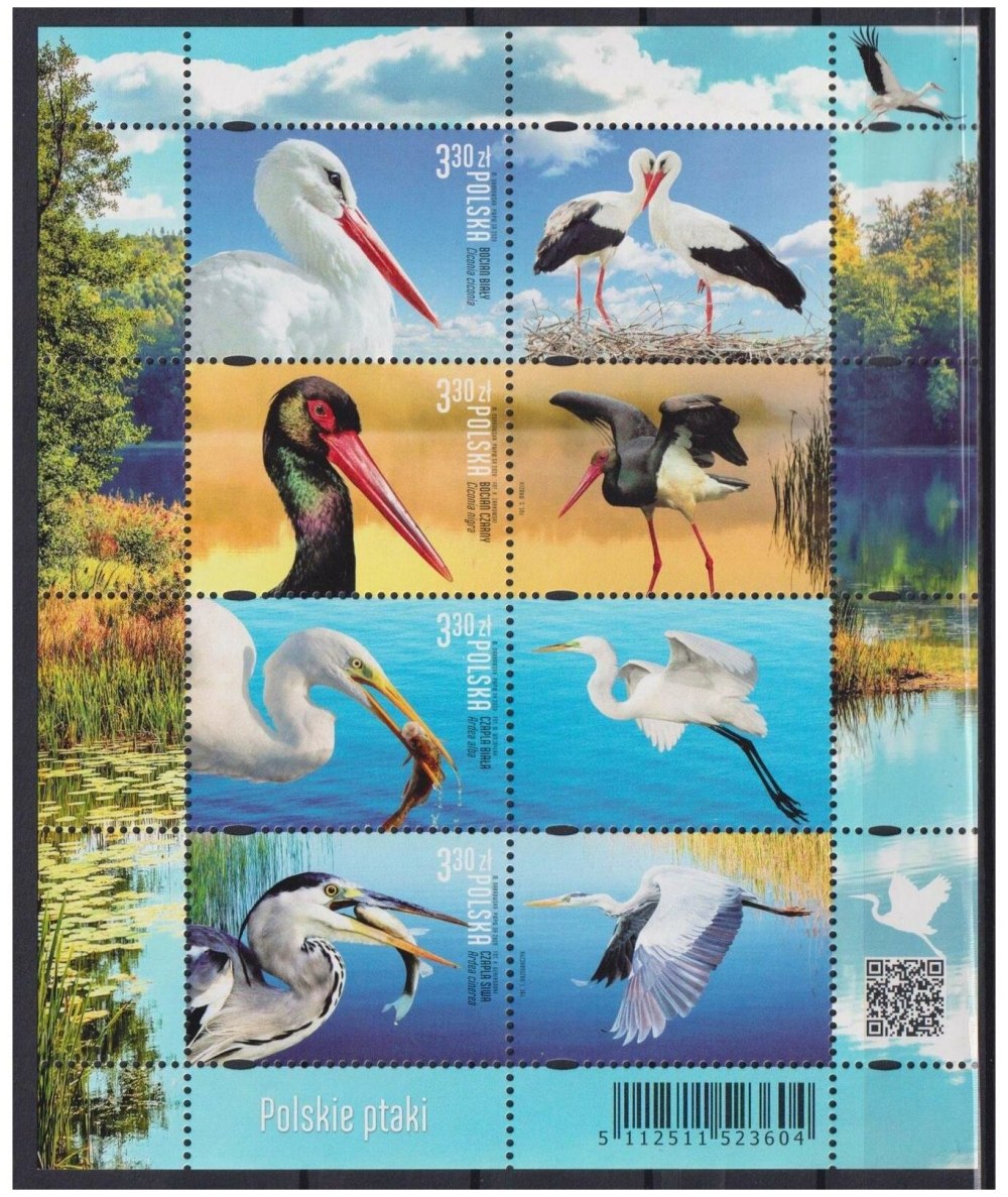 Фауна – fauna 2020