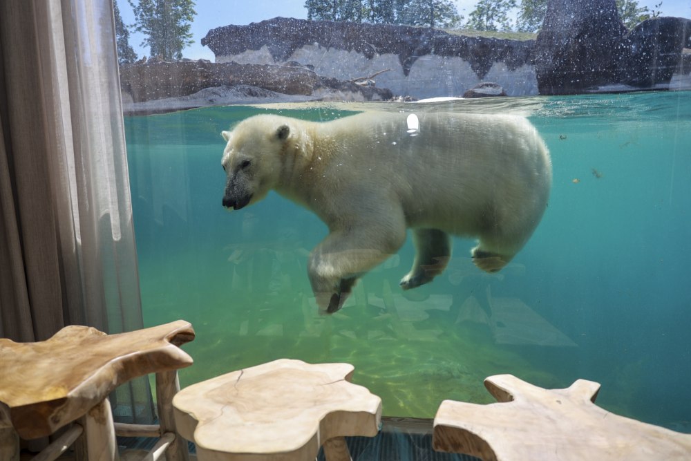 Pairi Daiza