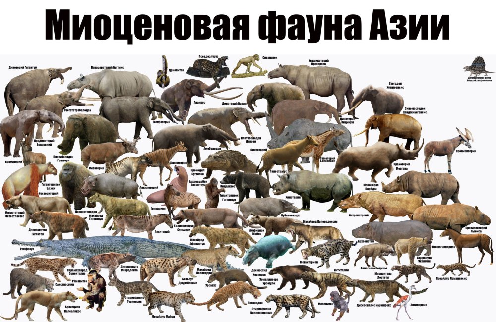 Миоценовая фауна Европы