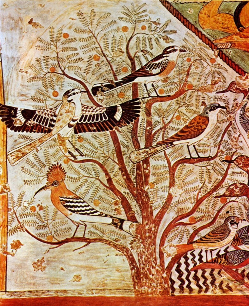 Птицы в древности
