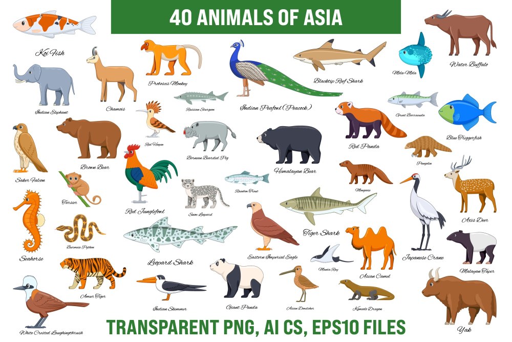 Animals of Asia раскраска