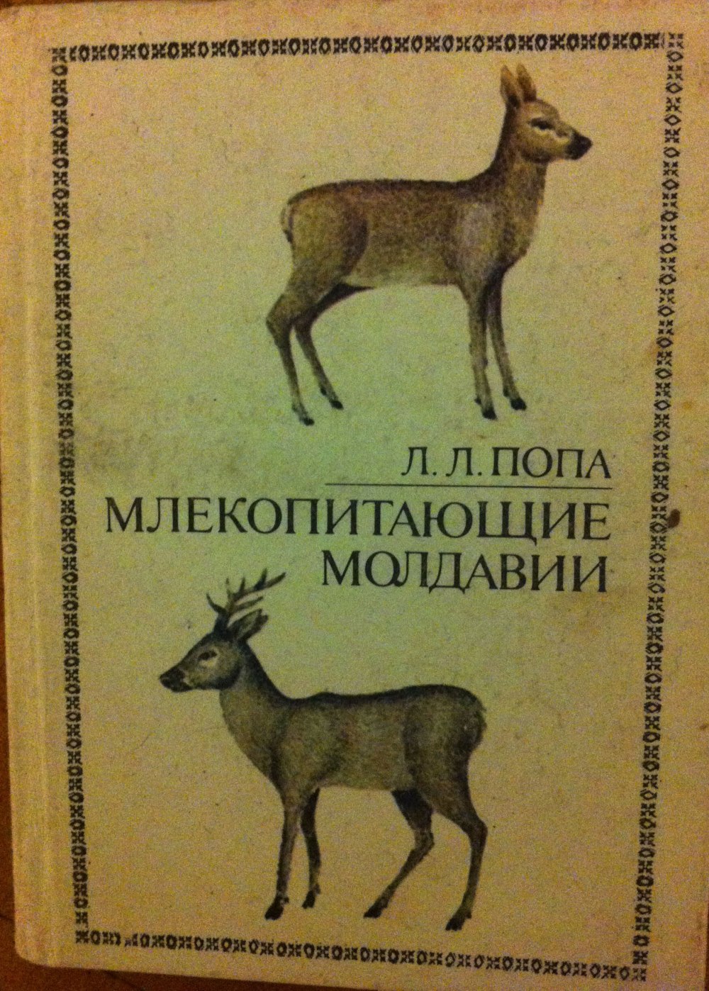 Млекопитающие Молдовы