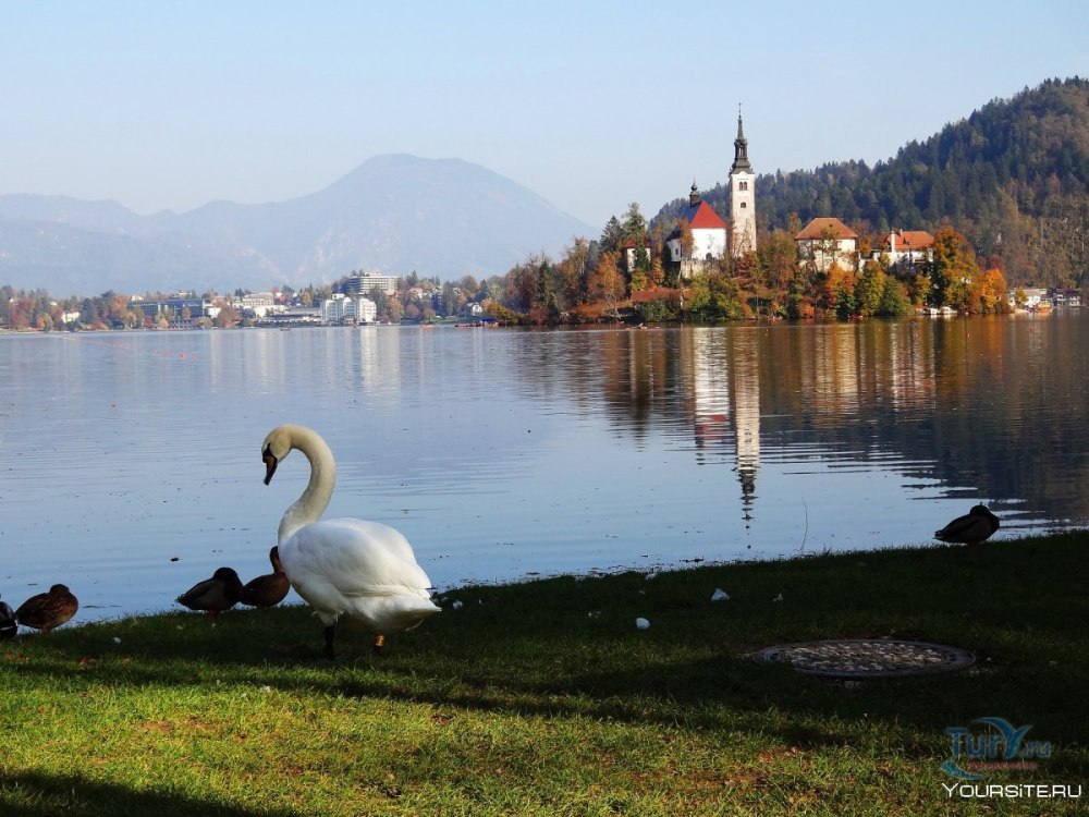 Словения реальные фото