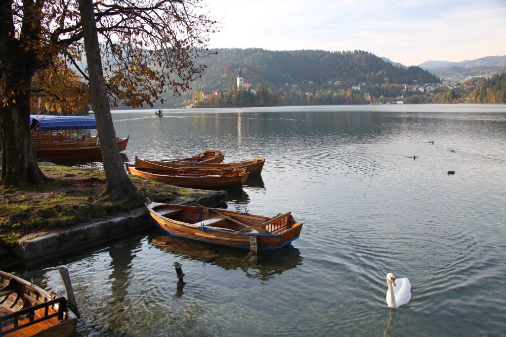 Вода Словения